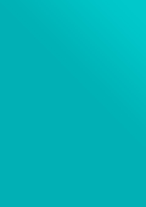 Shock Absorber & Strut Products - PRT Malaysia